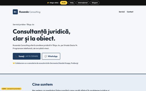 Stilul Profi